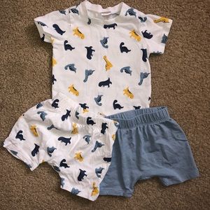H&M Dinosaur set. Size 2-4 months old.